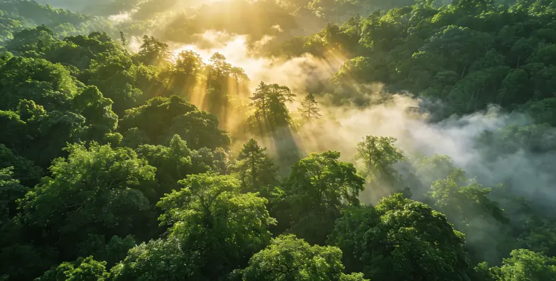宣城肺癌172基因检测图片1